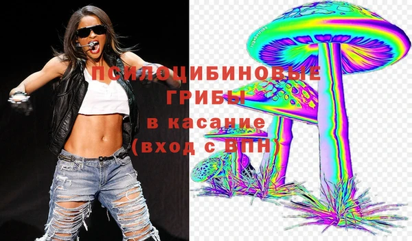 метадон Алексин