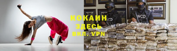метадон Алексин