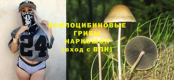 метадон Алексин