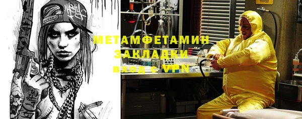 прущие грибы Алзамай