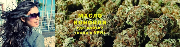 прущие грибы Алзамай