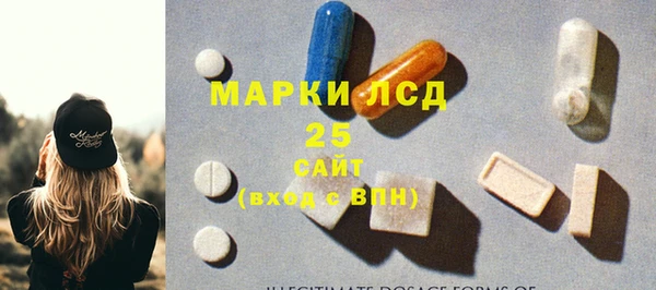 прущие грибы Алзамай