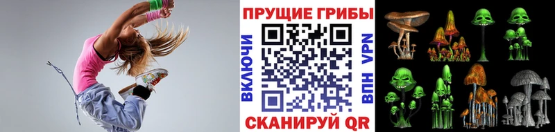 наркошоп  Бабушкин  Галлюциногенные грибы мицелий 